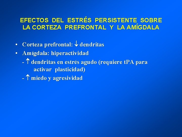 EFECTOS DEL ESTRÉS PERSISTENTE SOBRE LA CORTEZA PREFRONTAL Y LA AMÍGDALA • Corteza prefrontal: