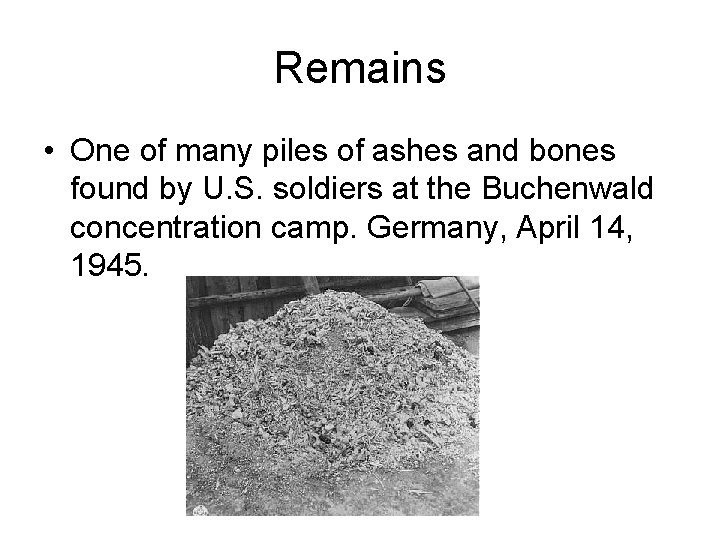 Remains • One of many piles of ashes and bones found by U. S. Remains • One of many piles of ashes and bones found by U. S.