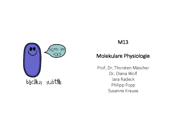 M 13 Molekulare Physiologie Prof. Dr. Thorsten Mascher Dr. Diana Wolf Jara Radeck Philipp