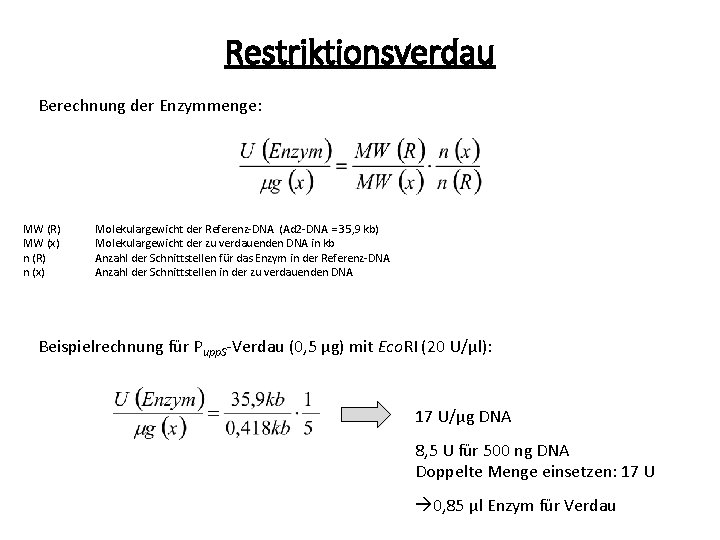 Restriktionsverdau Berechnung der Enzymmenge: MW (R) MW (x) n (R) n (x) Molekulargewicht der