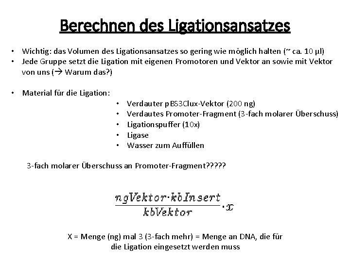 Berechnen des Ligationsansatzes • Wichtig: das Volumen des Ligationsansatzes so gering wie möglich halten