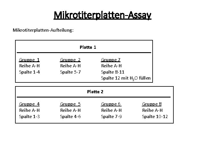 Mikrotiterplatten-Assay Mikrotiterplatten-Aufteilung: Platte 1 Gruppe 1 Reihe A-H Spalte 1 -4 Gruppe 2 Reihe