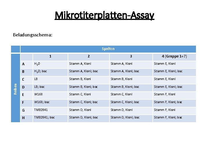 Mikrotiterplatten-Assay Beladungsschema: Spalten Reihen 1 2 3 4 (Gruppe 1+7) A H 2 O