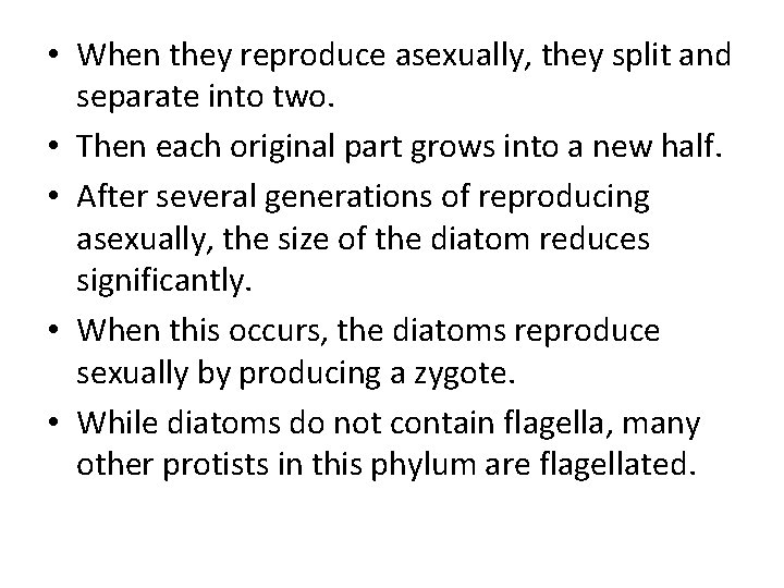  • When they reproduce asexually, they split and separate into two. • Then