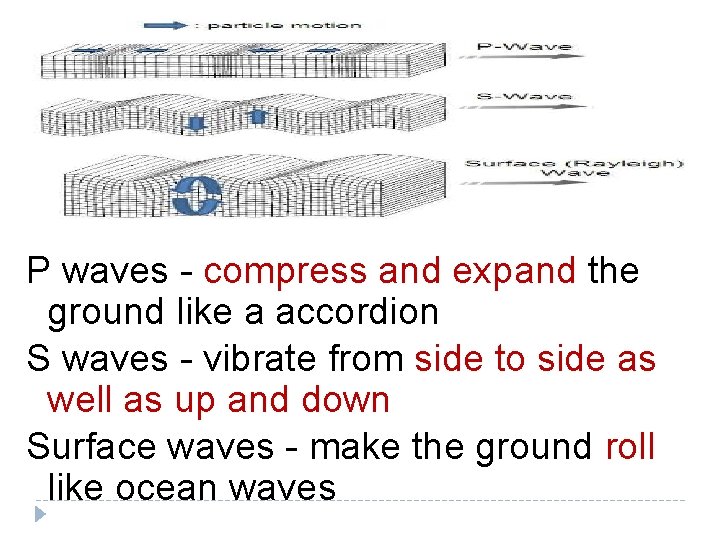 P waves - compress and expand the ground like a accordion S waves - P waves - compress and expand the ground like a accordion S waves -