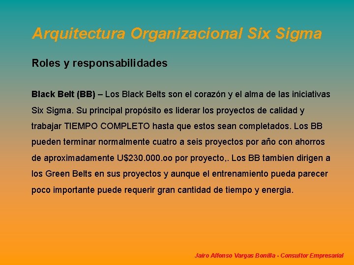 Arquitectura Organizacional Six Sigma Roles y responsabilidades Black Belt (BB) – Los Black Belts Arquitectura Organizacional Six Sigma Roles y responsabilidades Black Belt (BB) – Los Black Belts