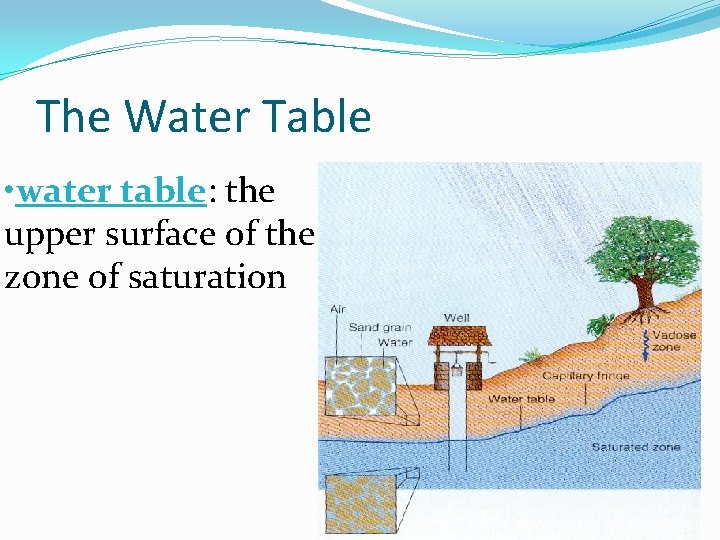 The Water Table • water table: the upper surface of the zone of saturation