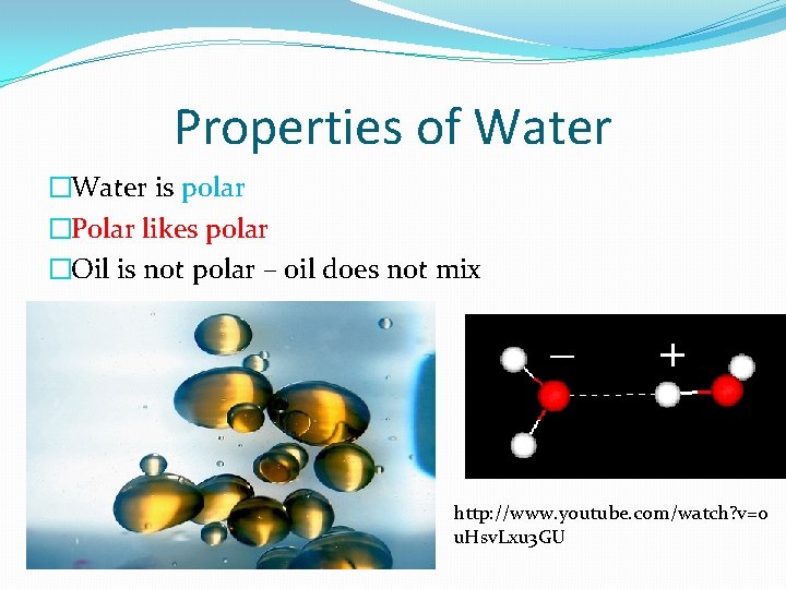 Properties of Water �Water is polar �Polar likes polar �Oil is not polar –