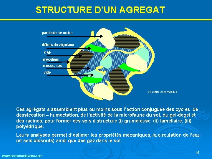 STRUCTURE D’UN AGREGAT particule de roche débris de végétaux CAH mycélium mucus, eau vide STRUCTURE D’UN AGREGAT particule de roche débris de végétaux CAH mycélium mucus, eau vide