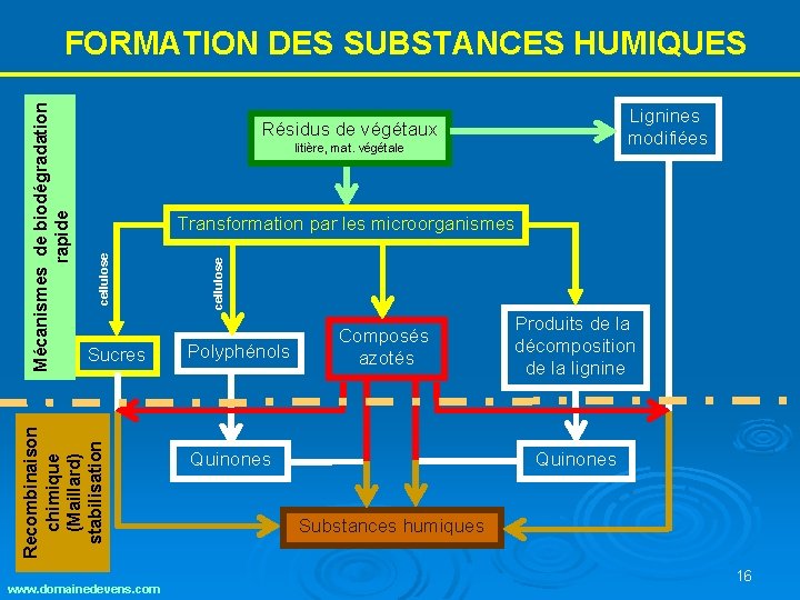 Lignines modifiées Résidus de végétaux litière, mat. végétale Sucres www. domainedevens. com cellulose Transformation Lignines modifiées Résidus de végétaux litière, mat. végétale Sucres www. domainedevens. com cellulose Transformation