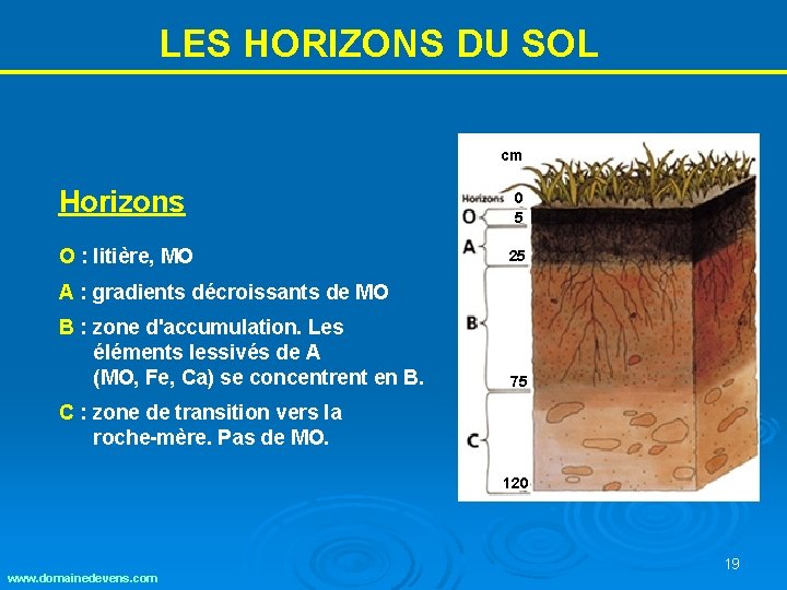 LES HORIZONS DU SOL cm Horizons 0 5 O : litière, MO 25 A LES HORIZONS DU SOL cm Horizons 0 5 O : litière, MO 25 A