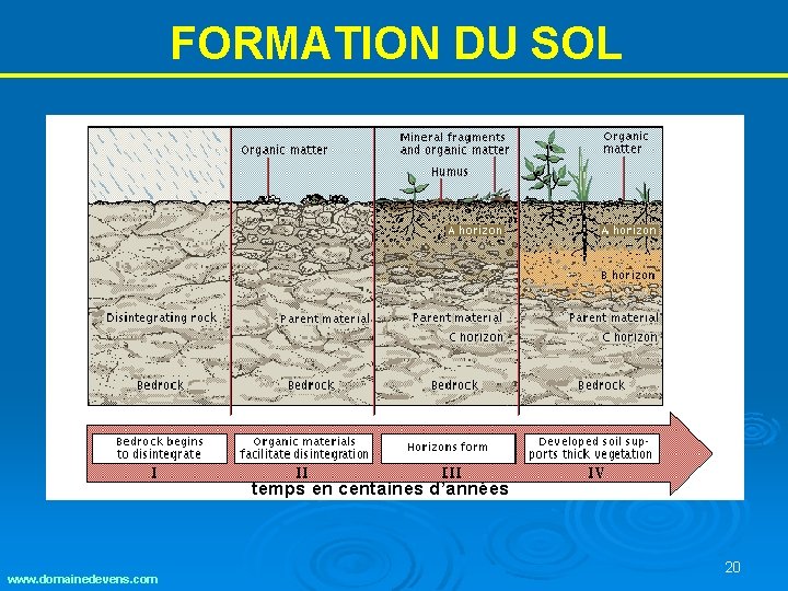 FORMATION DU SOL temps en centaines d’années www. domainedevens. com 20 FORMATION DU SOL temps en centaines d’années www. domainedevens. com 20