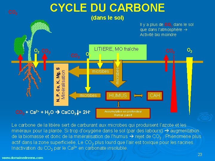 CYCLE DU CARBONE CO 2 (dans le sol) Il y a plus de CO CYCLE DU CARBONE CO 2 (dans le sol) Il y a plus de CO