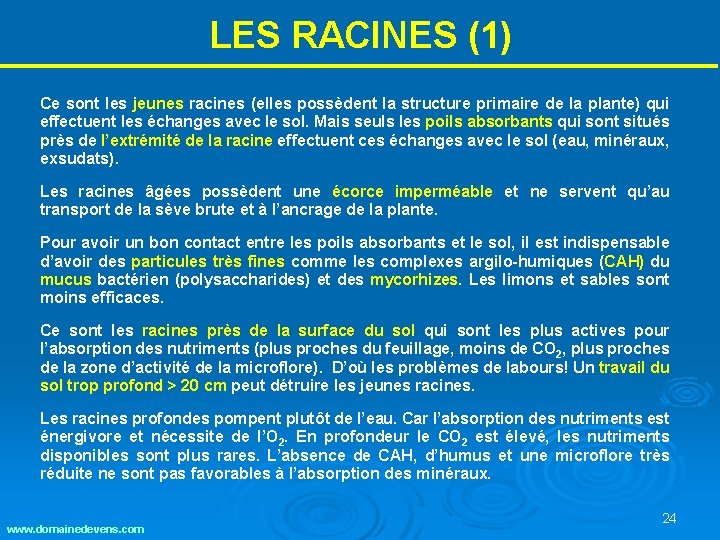 LES RACINES (1) Ce sont les jeunes racines (elles possèdent la structure primaire de LES RACINES (1) Ce sont les jeunes racines (elles possèdent la structure primaire de