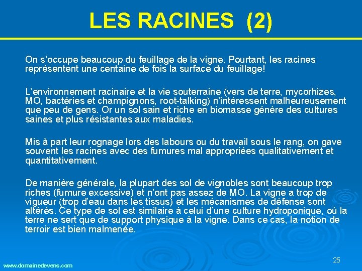LES RACINES (2) On s’occupe beaucoup du feuillage de la vigne. Pourtant, les racines LES RACINES (2) On s’occupe beaucoup du feuillage de la vigne. Pourtant, les racines