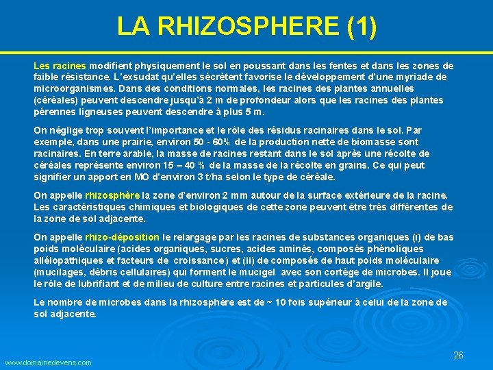 LA RHIZOSPHERE (1) Les racines modifient physiquement le sol en poussant dans les fentes LA RHIZOSPHERE (1) Les racines modifient physiquement le sol en poussant dans les fentes