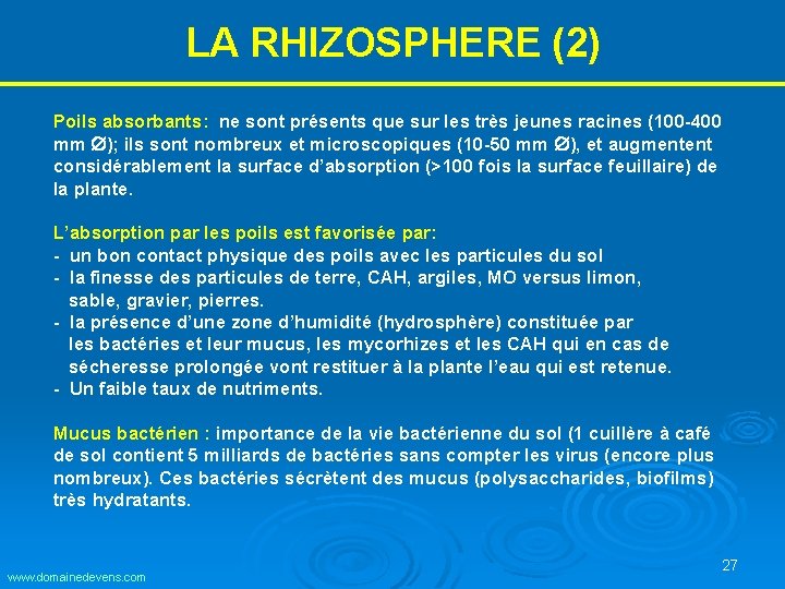LA RHIZOSPHERE (2) Poils absorbants: ne sont présents que sur les très jeunes racines LA RHIZOSPHERE (2) Poils absorbants: ne sont présents que sur les très jeunes racines