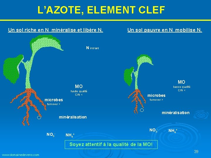 L’AZOTE, ELEMENT CLEF Un sol riche en N minéralise et libère N. Un sol L’AZOTE, ELEMENT CLEF Un sol riche en N minéralise et libère N. Un sol