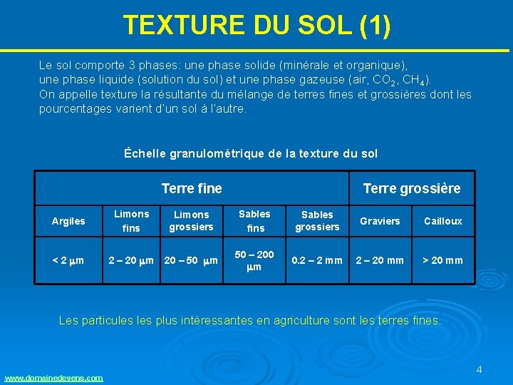 TEXTURE DU SOL (1) Le sol comporte 3 phases: une phase solide (minérale et TEXTURE DU SOL (1) Le sol comporte 3 phases: une phase solide (minérale et