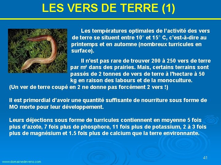 LES VERS DE TERRE (1) Les températures optimales de l’activité des vers de terre LES VERS DE TERRE (1) Les températures optimales de l’activité des vers de terre