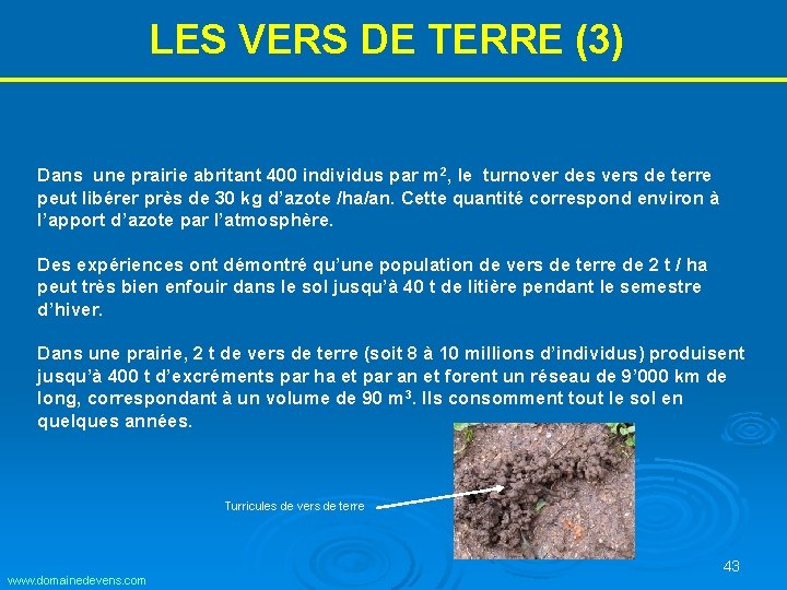 LES VERS DE TERRE (3) Dans une prairie abritant 400 individus par m 2, LES VERS DE TERRE (3) Dans une prairie abritant 400 individus par m 2,