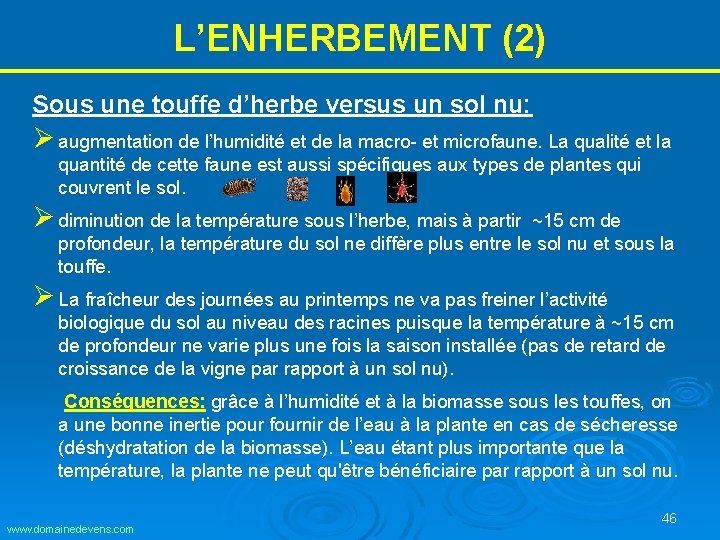 L’ENHERBEMENT (2) Sous une touffe d’herbe versus un sol nu: Ø augmentation de l’humidité L’ENHERBEMENT (2) Sous une touffe d’herbe versus un sol nu: Ø augmentation de l’humidité