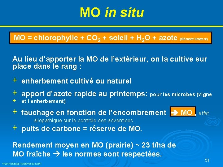 MO in situ MO = chlorophylle + CO 2 + soleil + H 2 MO in situ MO = chlorophylle + CO 2 + soleil + H 2
