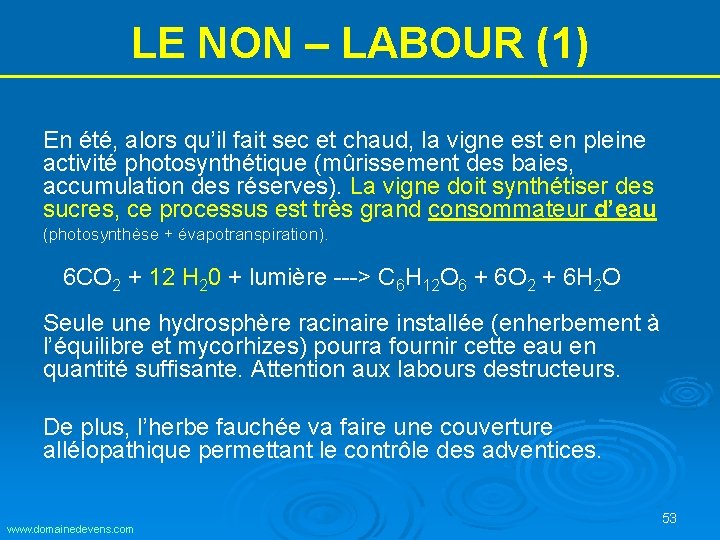 LE NON – LABOUR (1) En été, alors qu’il fait sec et chaud, la LE NON – LABOUR (1) En été, alors qu’il fait sec et chaud, la