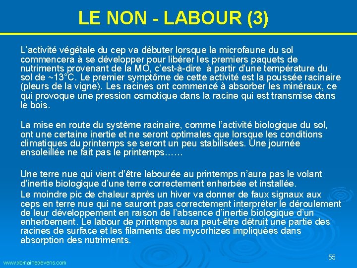 LE NON - LABOUR (3) L’activité végétale du cep va débuter lorsque la microfaune LE NON - LABOUR (3) L’activité végétale du cep va débuter lorsque la microfaune