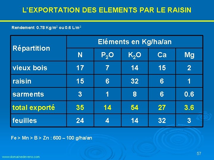 L’EXPORTATION DES ELEMENTS PAR LE RAISIN Rendement 0. 78 Kg/m 2 ou 0. 6 L’EXPORTATION DES ELEMENTS PAR LE RAISIN Rendement 0. 78 Kg/m 2 ou 0. 6