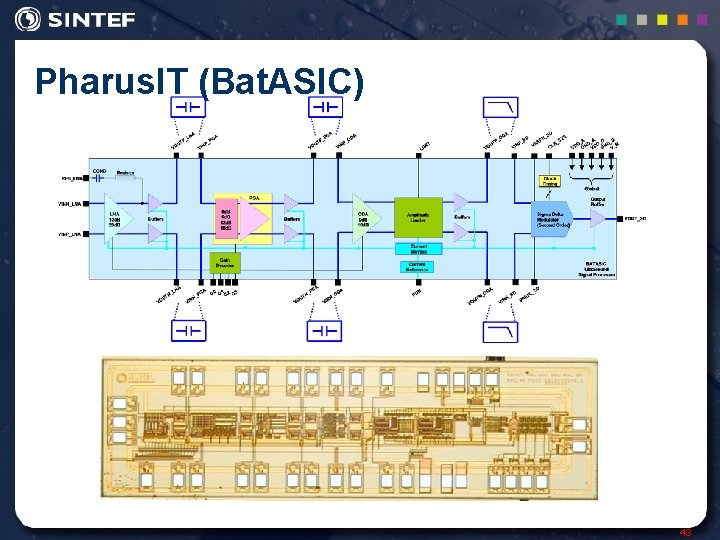 Pharus. IT (Bat. ASIC) 43 