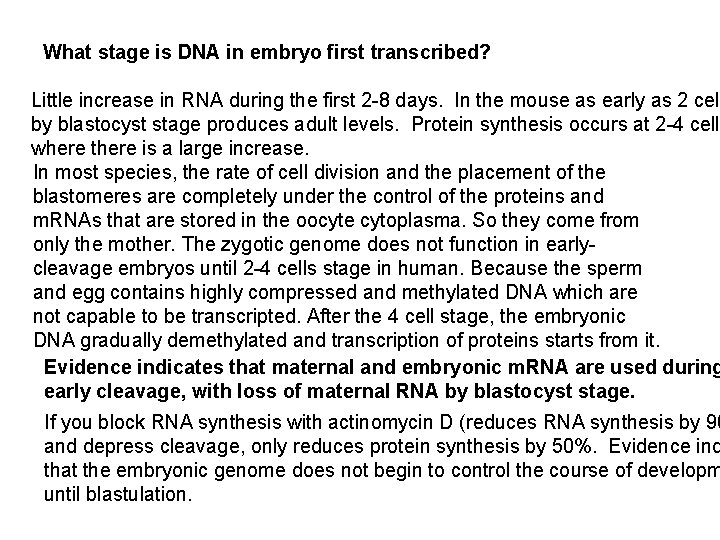 What stage is DNA in embryo first transcribed? Little increase in RNA during the