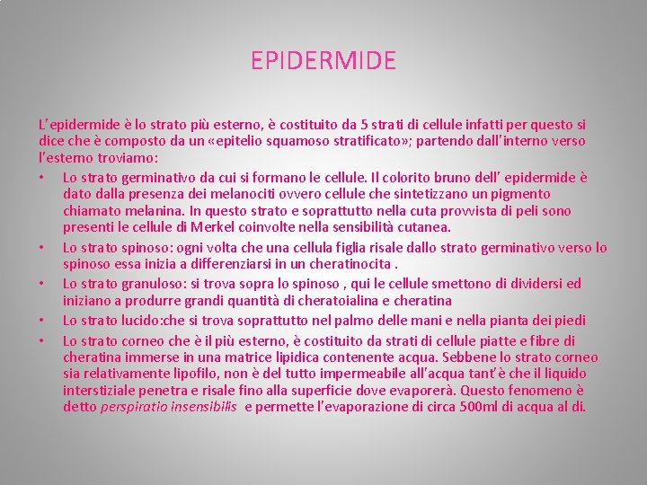 EPIDERMIDE L’epidermide è lo strato più esterno, è costituito da 5 strati di cellule EPIDERMIDE L’epidermide è lo strato più esterno, è costituito da 5 strati di cellule