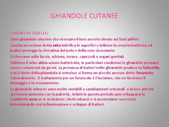 GHIANDOLE CUTANEE GHIANDOLE SEBACEE: Sono ghiandole olocrine che riversano il loro secreto oleoso sui GHIANDOLE CUTANEE GHIANDOLE SEBACEE: Sono ghiandole olocrine che riversano il loro secreto oleoso sui