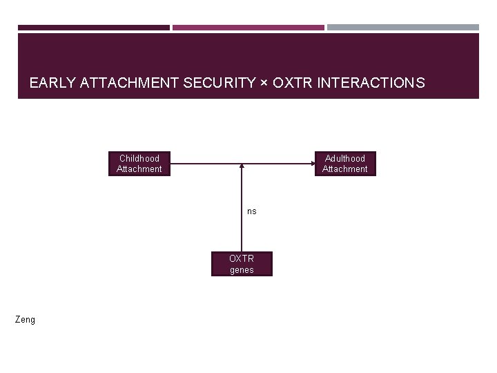 EARLY ATTACHMENT SECURITY × OXTR INTERACTIONS Childhood Attachment Adulthood Attachment ns OXTR genes Zeng EARLY ATTACHMENT SECURITY × OXTR INTERACTIONS Childhood Attachment Adulthood Attachment ns OXTR genes Zeng