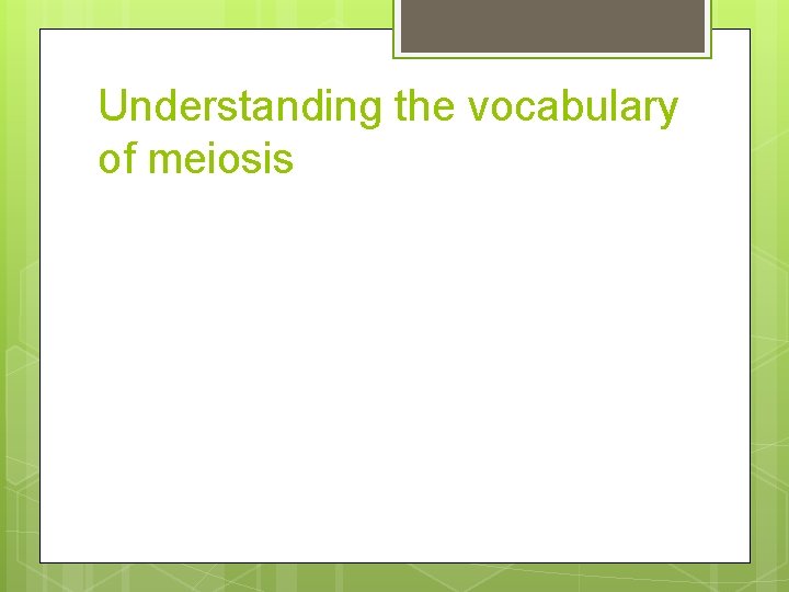 Understanding the vocabulary of meiosis 