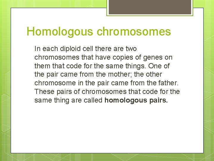 Homologous chromosomes In each diploid cell there are two chromosomes that have copies of