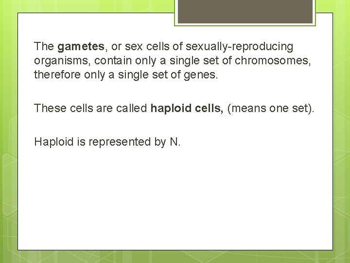 The gametes, or sex cells of sexually-reproducing organisms, contain only a single set of