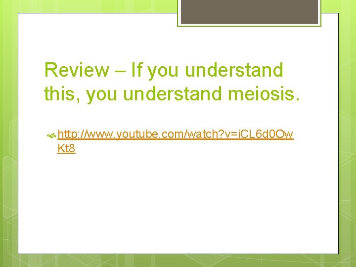 Review – If you understand this, you understand meiosis. http: //www. youtube. com/watch? v=i.