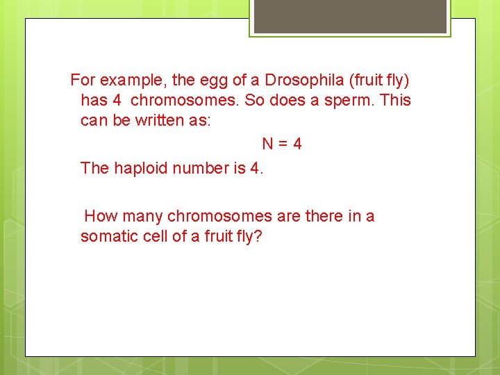 For example, the egg of a Drosophila (fruit fly) has 4 chromosomes. So does