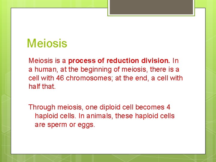 Meiosis is a process of reduction division. In a human, at the beginning of