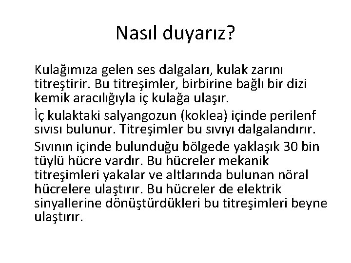 Nasıl duyarız? Kulağımıza gelen ses dalgaları, kulak zarını titreştirir. Bu titreşimler, birbirine bağlı bir