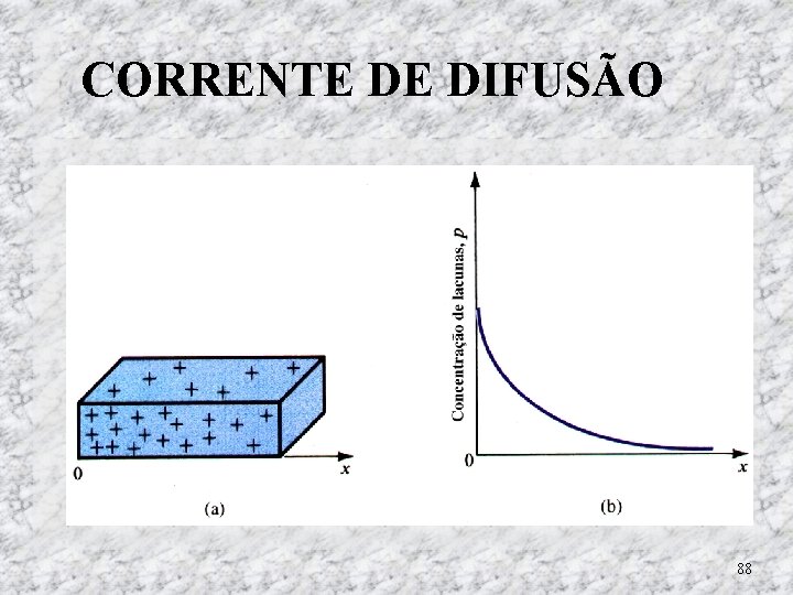 CORRENTE DE DIFUSÃO 88 CORRENTE DE DIFUSÃO 88