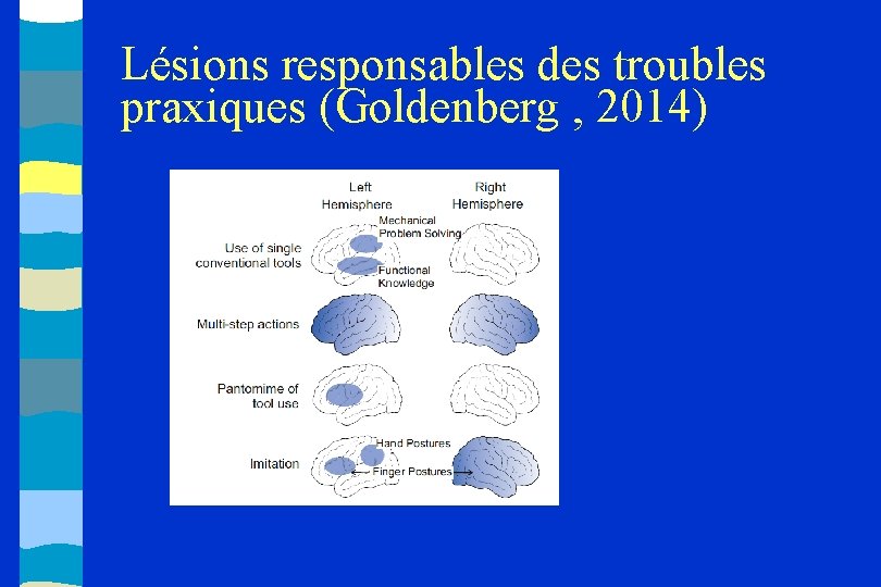 Lésions responsables des troubles praxiques (Goldenberg , 2014) 