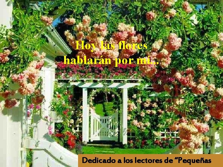 Hoy las flores hablarán por mí. . . Dedicado a los lectores de “Pequeñas