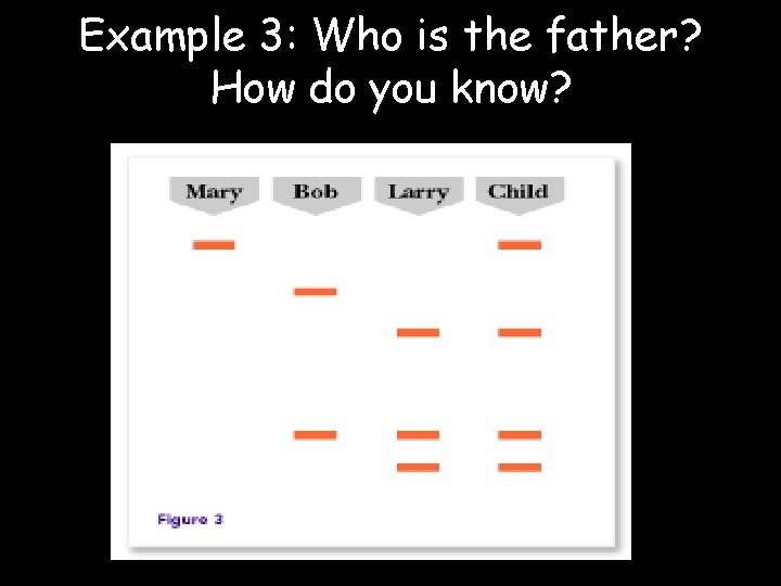 Example 3: Who is the father? How do you know? 