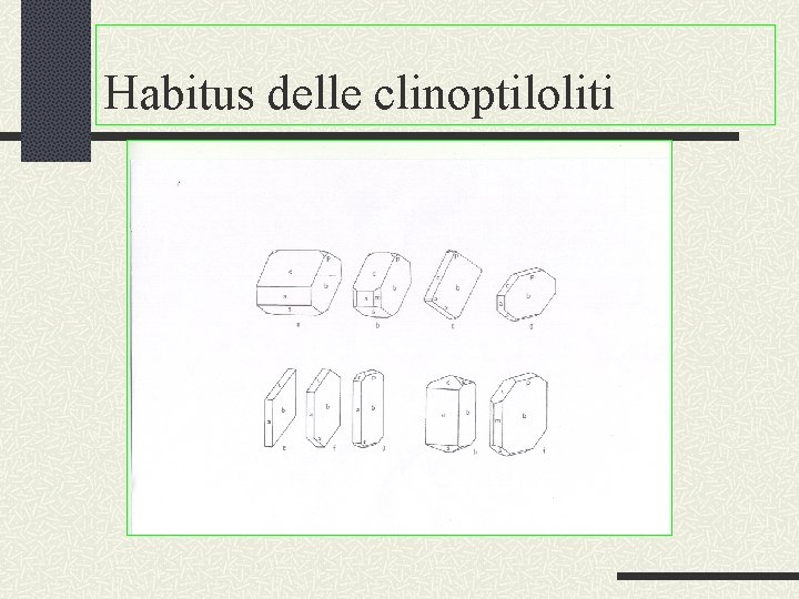 Habitus delle clinoptiloliti 