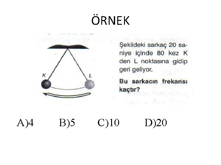 ÖRNEK A)4 B)5 C)10 D)20 ÖRNEK A)4 B)5 C)10 D)20