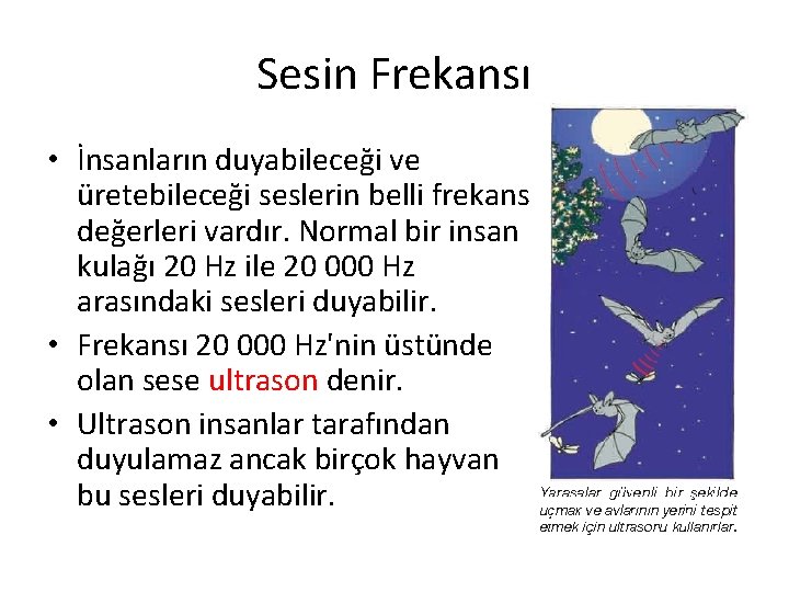 Sesin Frekansı • İnsanların duyabileceği ve üretebileceği seslerin belli frekans değerleri vardır. Normal bir Sesin Frekansı • İnsanların duyabileceği ve üretebileceği seslerin belli frekans değerleri vardır. Normal bir