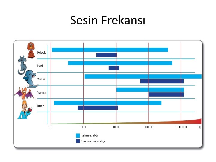 Sesin Frekansı Sesin Frekansı